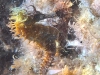 20260928_151732(5)