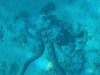 20260930_141754_2 (2